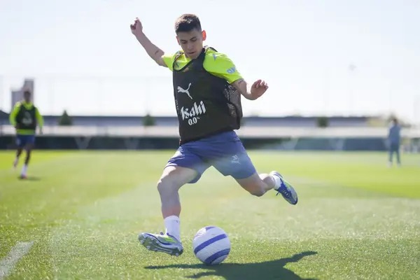 เสือเหลืองยื่นยืม ‘เอเชเวอร์รี่’ พ่วงซื้อขาด