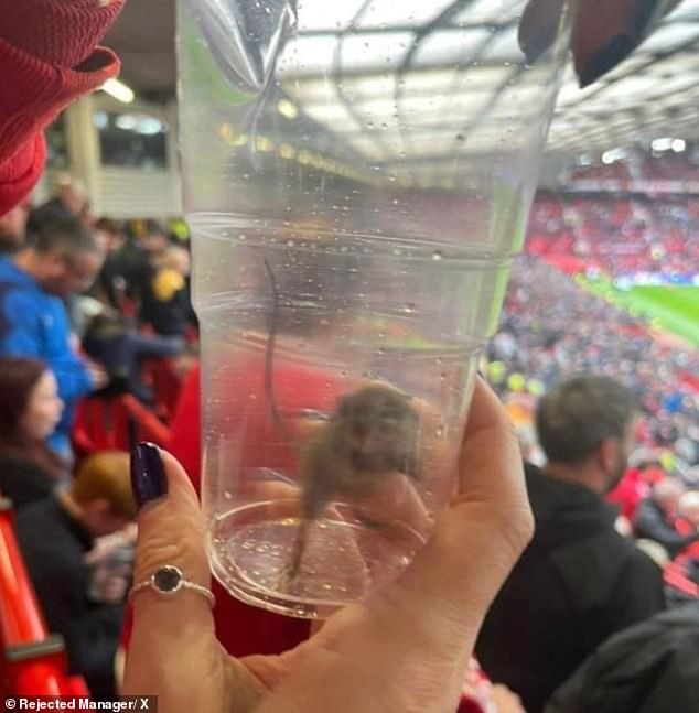 งามไส้! แฟนแมวดำ ‘จับหนู’ ได้ที่ OTF