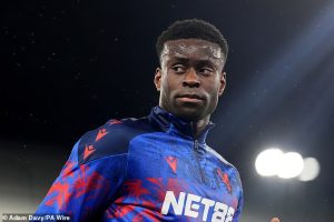 หงส์แห้ว?! ปูด ‘เอเยนต์เกฮี’ แอบถกซบพี่เสือ