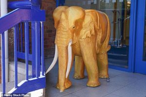 ‘นกเค้าแมว’ ประมูล ‘ช้างทองคำ’ ใช้หนี้