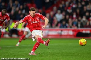 เจอกันซัมเมอร์! เจ้าป่าปักป้าย ‘แอนเดอร์สัน’ ขั้นต่ำ 100 ลป.