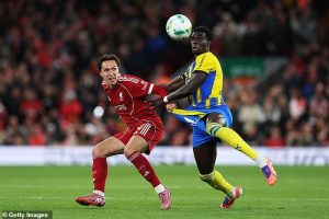 ‘ม้าลาย’ ยังตามตื๊อ ‘เคียซ่า’ กลับถิ่นเก่า